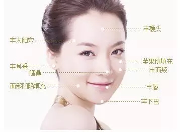 讓明星“一夜回春”的自體脂肪到底適不適合你？