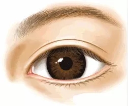 市面上五花八門的雙眼皮項目，如何有效找到你的菜？