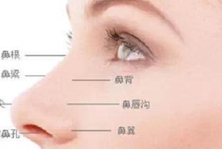 杭州自體肋軟骨隆鼻費用多少