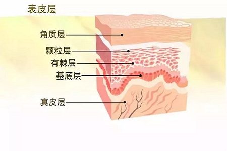 皮膚美白有哪些方法