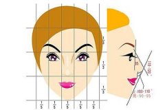 做耳軟骨隆鼻尖的價(jià)格是多少，隆鼻價(jià)格貴不貴