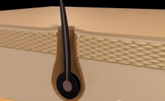 種頭發(fā)多少錢，技術(shù)成熟嗎